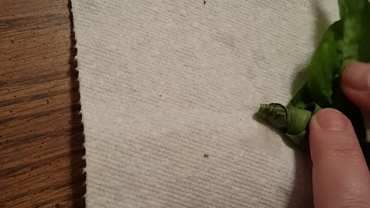 Rolling Basil Cigars